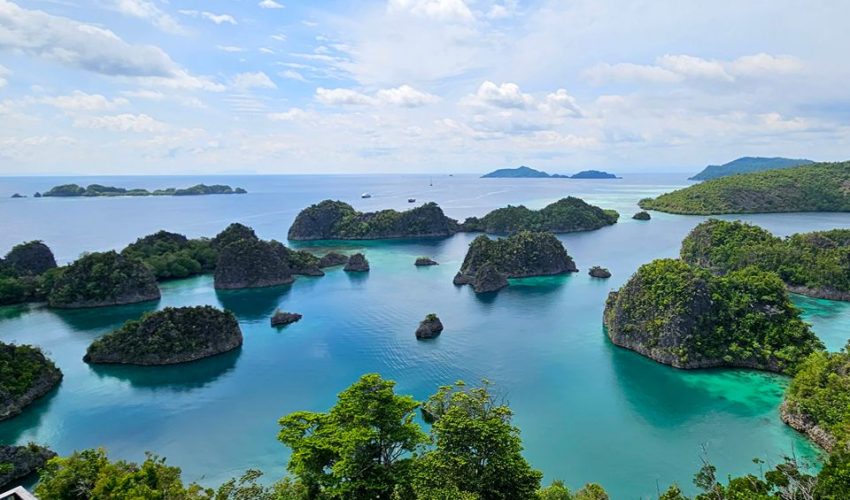 04. Raja Ampat Travel Papua