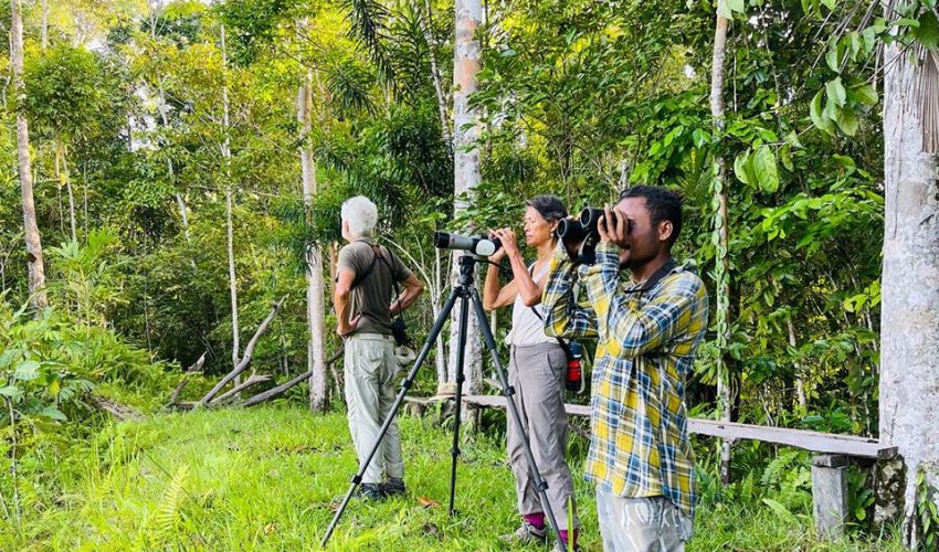11. Birding Nimbokrang Travel Papua