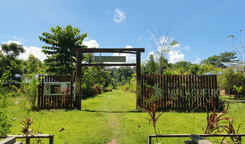 Front Gate