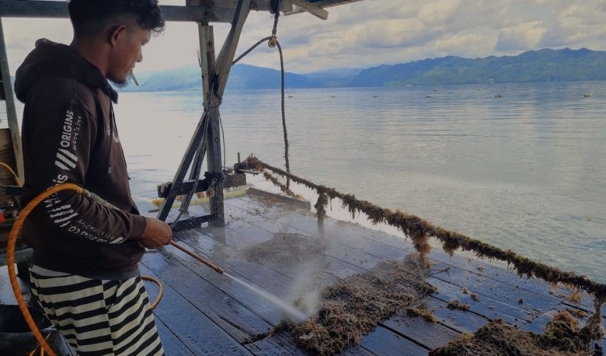 Pearl Farm Kaimana travelpapua