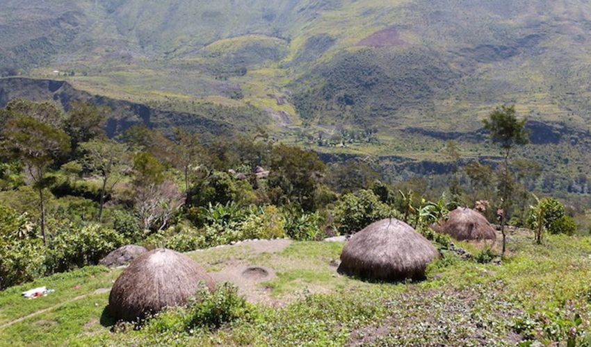 baliem valley short trekking trip