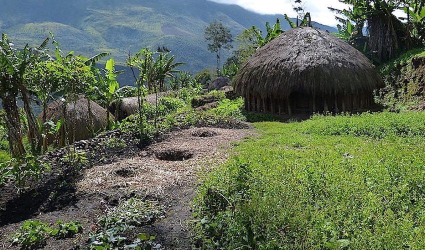 baliem valley short trekking trip