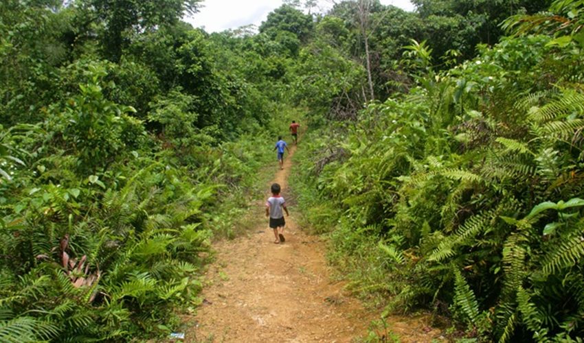 tour in biak papua