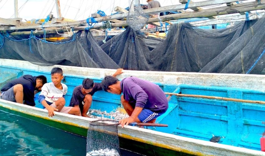 tour in kaimana and triton bay, papua indonesia