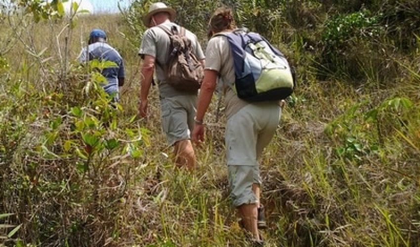 lake habema tour papua