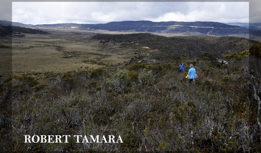 lake habema tour papua