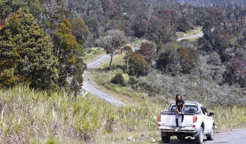 lake habema tour papua