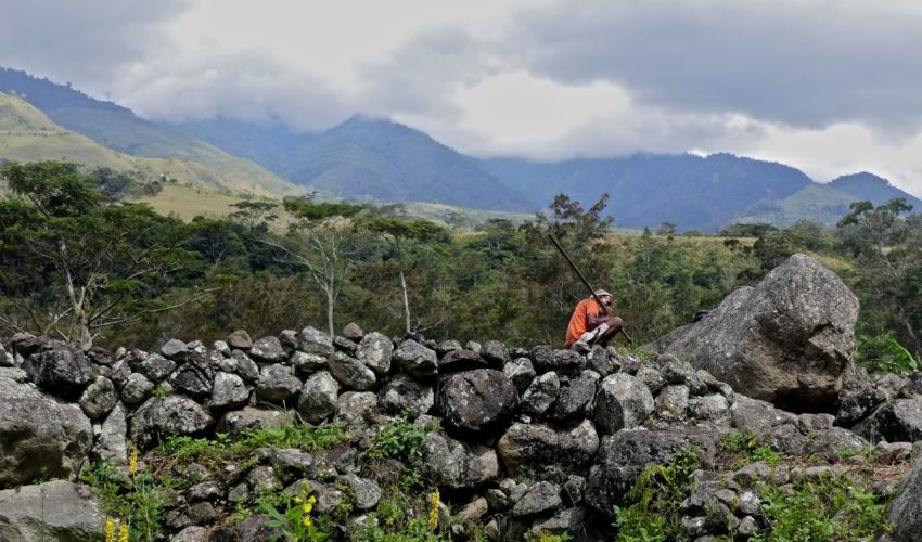 lake habema tour papua