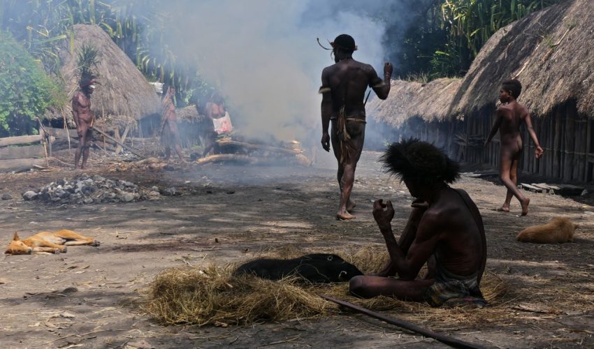 lake habema tour papua