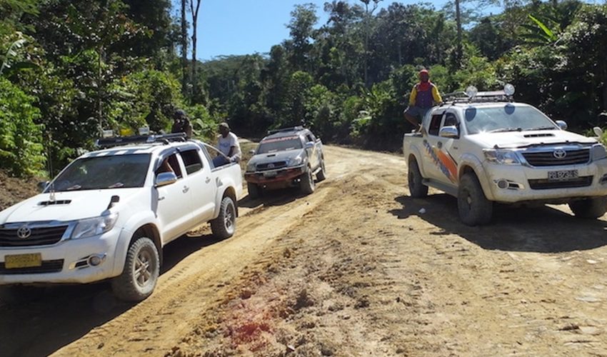 sorong rainforest tour